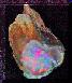 opalized limb