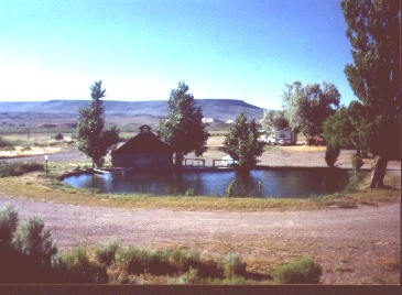 free, public campground